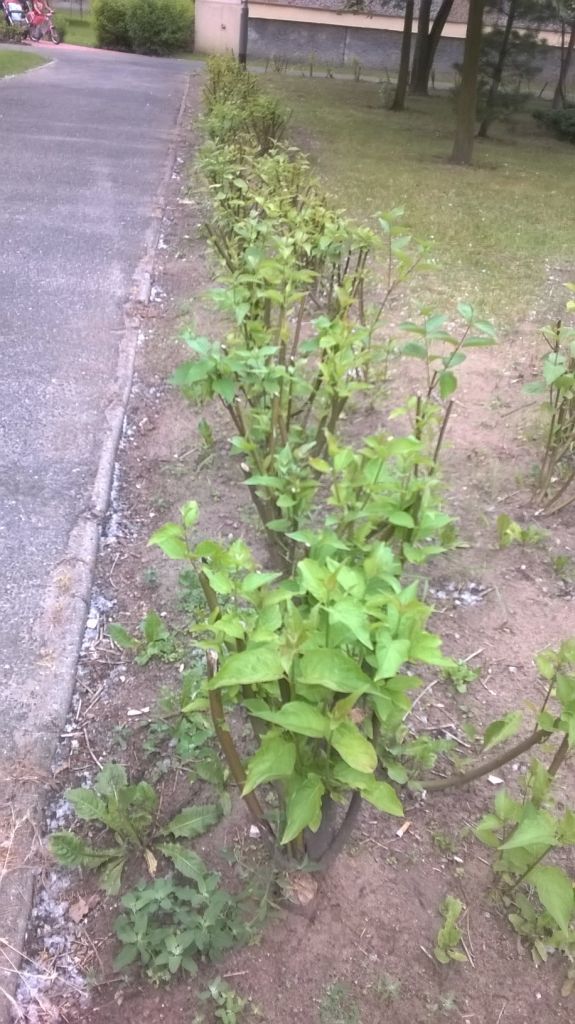 photo0803.jpg
